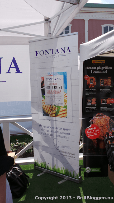 grill bbq sm 2013 58