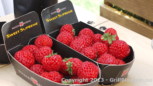 grill bbq sm 2013 74