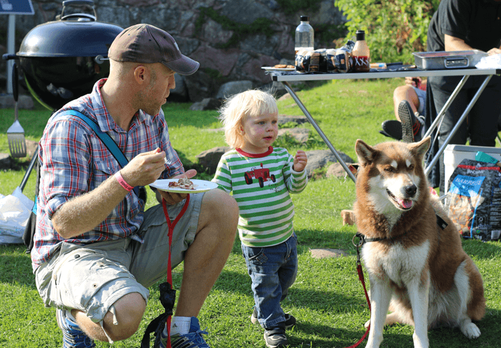 Fästning i rök bohus fästning 2015