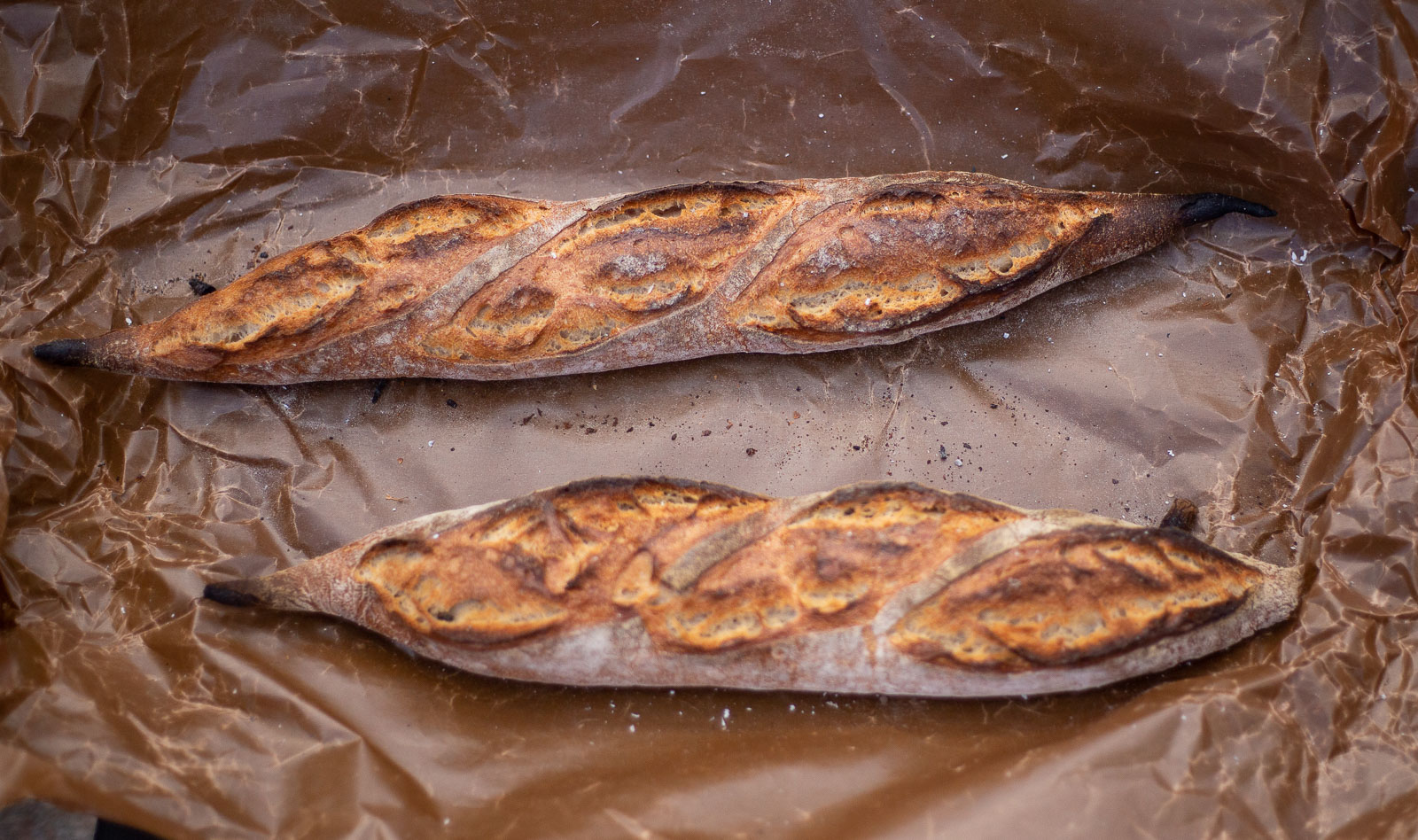 Surdegsbröd bakad av Gabriel Olsson Lidingö SM mästare i Mack SM 2020