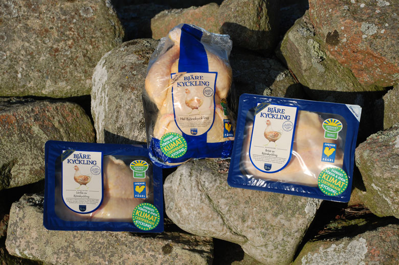 Bjarefagel paket 780